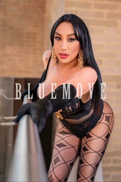 NICOLLE LATINA, Travesti en Palma de Mallorca 643703561
