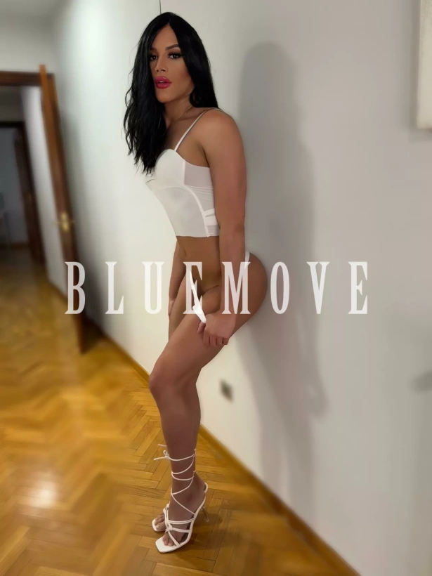 Cenas románticas, Salidas a eventos, Salir de fiesta, Masaje cuerpo a cuerpo, Masajes sensitivos, Masajes a domicilio, Masajes a hoteles, Fantasías y disfraces, Masaje erótico: travesti em Madrid