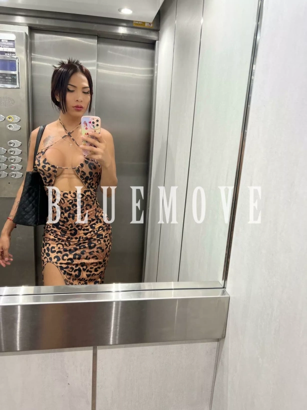 Cenas románticas, Viajes, Salidas a eventos, Salir de fiesta, Masajes sensitivos, Masajes a domicilio, Masajes a hoteles, Fantasías y disfraces, Masaje erótico: travesti em Madrid