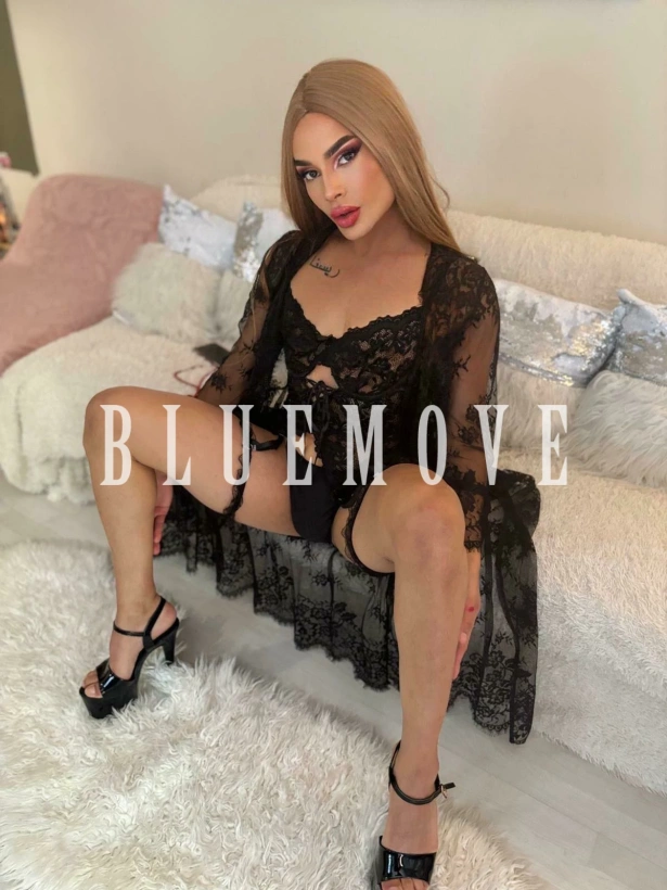 Cenas románticas, Viajes, Salidas a eventos, Salir de fiesta, Girlfriend experience, Masaje cuerpo a cuerpo, Masajes sensitivos, Masajes a domicilio, Masajes a hoteles, Fantasías y disfraces, Masaje erótico: travesti em Madrid
