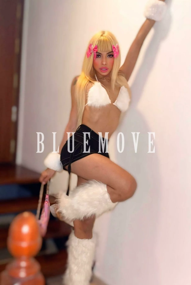 Cenas románticas, Viajes, Salidas a eventos, Salir de fiesta, Girlfriend experience, Masaje cuerpo a cuerpo, Masajes sensitivos, Masajes a domicilio, Masajes a hoteles, Fantasías y disfraces, Masaje erótico: travesti em Madrid