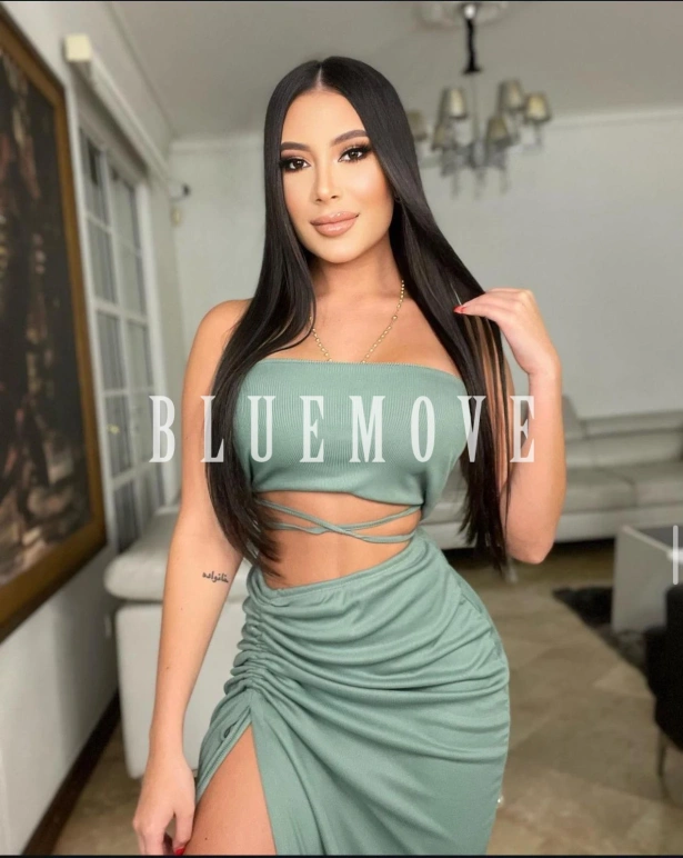 Cenas románticas, Salidas a eventos, Salir de fiesta, Girlfriend experience, Masaje cuerpo a cuerpo: escorts em Madrid