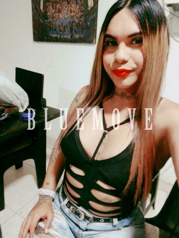 Sofia,  y soy una escort travesti colombiana de
