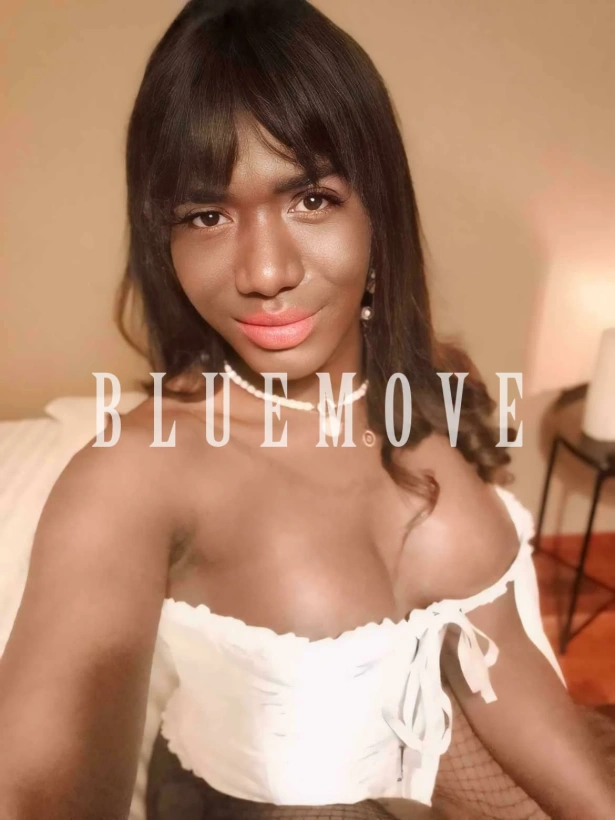 Travestis, Salidas a eventos, Salir de fiesta, Girlfriend experience