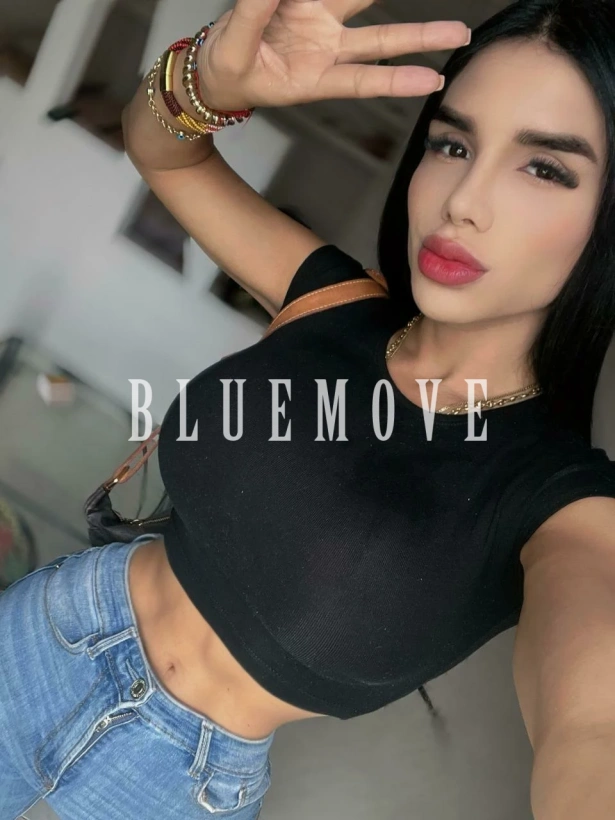 : travesti em Santa Cruz de Tenerife