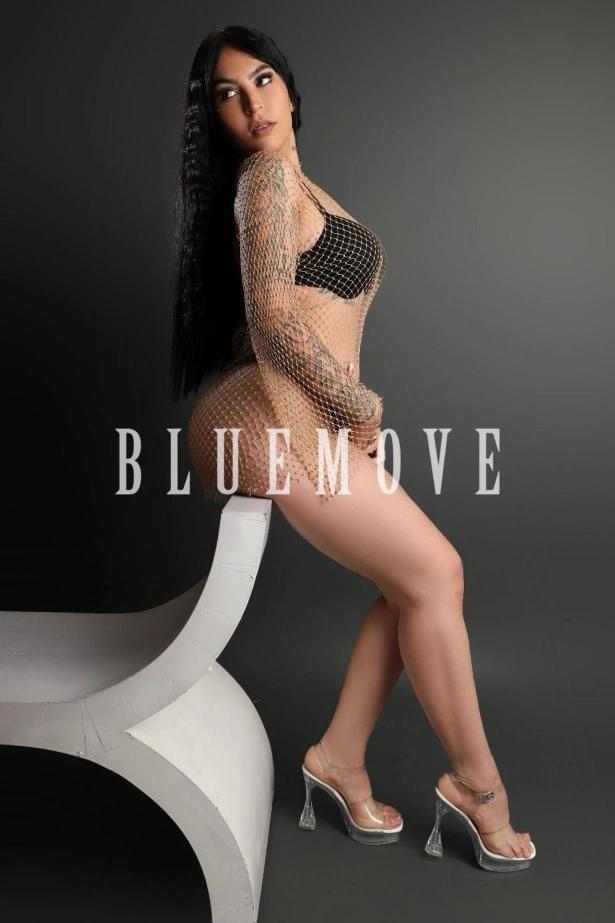 Cenas románticas, Masaje erótico, Masajes sensitivos, Masaje cuerpo a cuerpo, Masajes a domicilio, Fantasías y disfraces, Masajes a hoteles, Salir de fiesta: escorts em Valencia